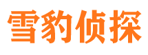 茂县侦探公司